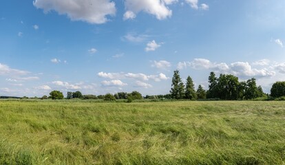 krajobraz szerokiej łąki latem, panorama zielonych terenów w zachodniej Polsce	