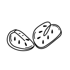 Fruit line icon