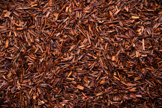 close-up top view of dry rooibos tea