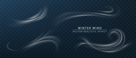 Winter wind air motion effect isolated on transparent background. Vector realistic symbol wind flows. Cold wind blow on transparent background - obrazy, fototapety, plakaty
