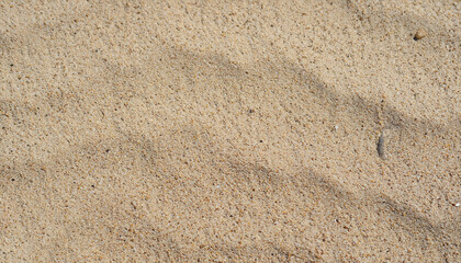 Sand on the beach for background. Brown beach sand texture as background. Close-up.