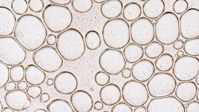 Bubble cluster transparent, cells under a microscope burst on white background. Gel texture with bubbles, skin care product. Macro Shot of Natural Organic Cosmetics, Medicine. High quality 4k footage