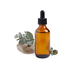 Bottle of eucalyptus essential oil, stone and plant branch on white background