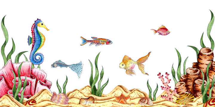 Watercolor illustrations of a sandy seabed, seashells, algae, coral, starfish and fish. Composition for posters, postcards, banners, flyers, covers, posters and other printing products. Isolated