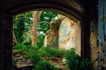 The ruined walls of an old building covered with green grass. The image of desolation and the...