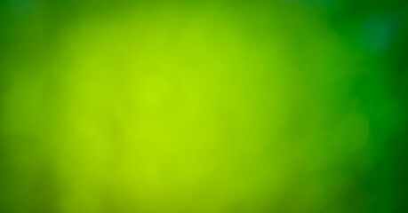 Green abstract background with bokeh