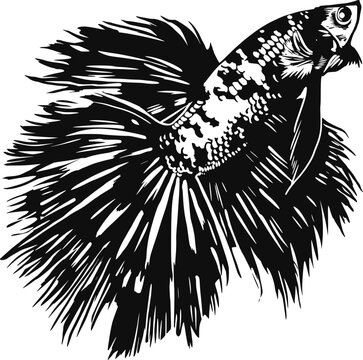 recommend clip art: Betta Fish Silhouette