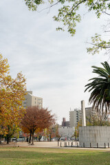 Autumn of Hakata Reisen Park in Fukuoka, Japan