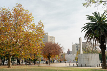 Obraz premium Autumn of Hakata Reisen Park in Fukuoka, Japan