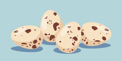 Quail eggs vector concept