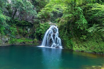 Fototapeta na wymiar 赤目四十八滝で見たグリーンに囲まれた涼し気な千手滝の情景