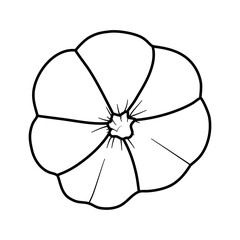 pumpkin line art vector autumn illustration