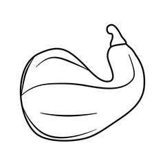 illustration of a pumpkin line art vector illustration