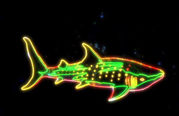 neon shark