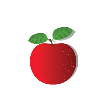 apple fruit design vector illustration, leaf, fruit