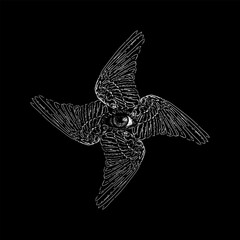 wings and eye hand drawing vector isolated on black background.