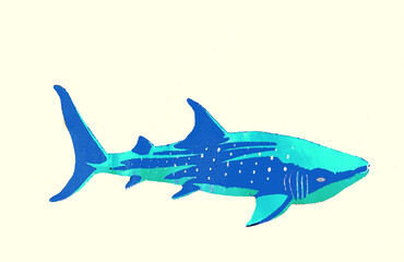 illustration of shark