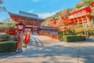 Saga, Japan - Nov 28 2022: Yutoku Inari shrine in Kashima City, Saga Prefecture. It's one of Japan's top three shrines dedicated to Inari alongside Fushimi Inari in Kyoto and Toyokawa Inari in Aichi - 629378583
