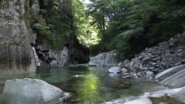 深緑の面河渓　虎ヶ滝　ドローン空撮