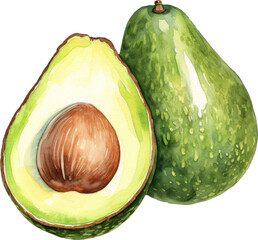 Avocado watercolor illustration. Generative AI