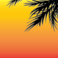 Obraz na płótnie Canvas sun summer sunset sunshine orange yellow coconut