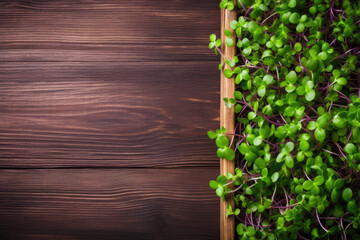 Microgreens on wooden table, top view, copy space