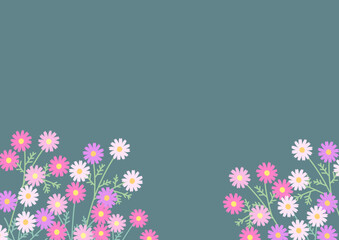 コスモスの花のイラスト背景素材