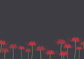 彼岸花の背景イラスト