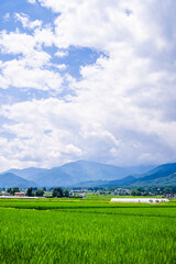 のどかな安曇野　田舎の風景　