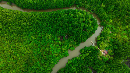 Aerial view of dark green forest and river. Rich natural ecosystem of rainforest. concept of natural forest conservation	