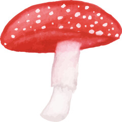 red mushroom isolated on white