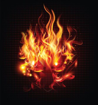 flames of fire on a black background. Close-up of Blaze fire flame at night.
