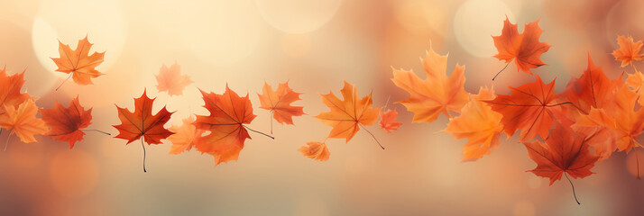Naklejka na ściany i meble Flying fall maple leaves on autumn background. Falling leaves, seasonal banner with autumn leaf fall.