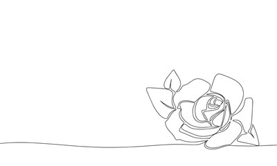 Rose line art. Flowers one line continuous vector illustration, outline.