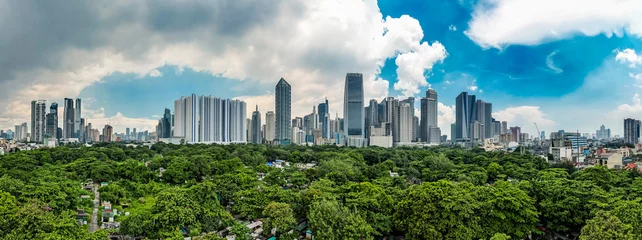 Fotobehang Makati, Metro Manila, Philippines - Panoramic view of the Makati Skyline as seen from Manila South Cemetery. © Mdv Edwards
