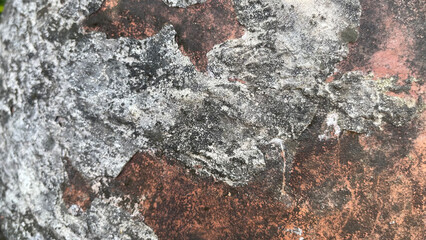The old cement floor with the lichen stain and crack, background. Background of concrete wall. Tekstur background.