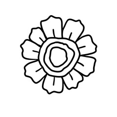 abstract flower vector