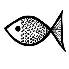 illustration of a fish