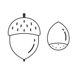 シンプルなどんぐりの線画イラスト