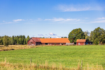 Fototapeta na wymiar Red barn in the countryside on a sunny summer day