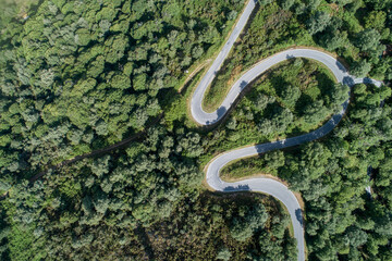 Top view of a winding road on a mountain with oak forest