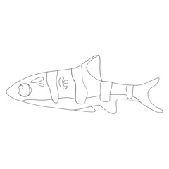 Tigerfish Fish 2D Outline Illustrations