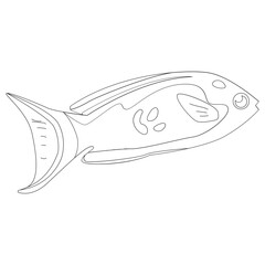Belgianyellow Fish 2D Outline Illustrations