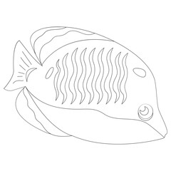 Bluecheek Fish 2D Outline Illustrations