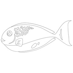 Bluehead Fish 2D Outline Illustrations