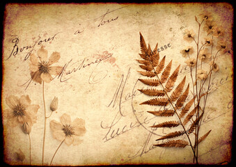 Retro background with dry pressed leaves and flowers on paper texture. Nostalgic scrapbooking backdrop with vintage paper texture and inscription "Bonjour à tous" (Hello everybody) in french © frenta