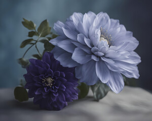 blue hydrangea flowers