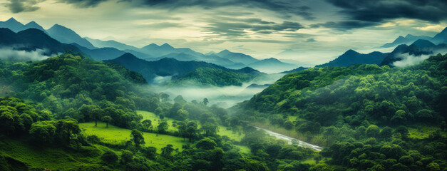 Cloudy Tropic Mountain View: Foggy Jungle Panorama