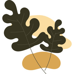 Boho Aesthetic Plant