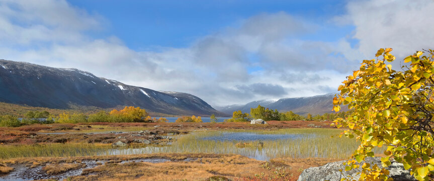 view on autumn colored plants growing at the water's edge  with mountains background in Norway